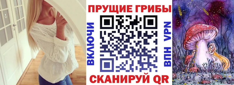 Псилоцибиновые грибы Magic Shrooms  купить   Канаш 